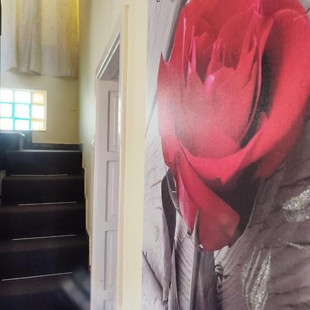 ブラショフ Casa De Susヴィラ エクステリア 写真