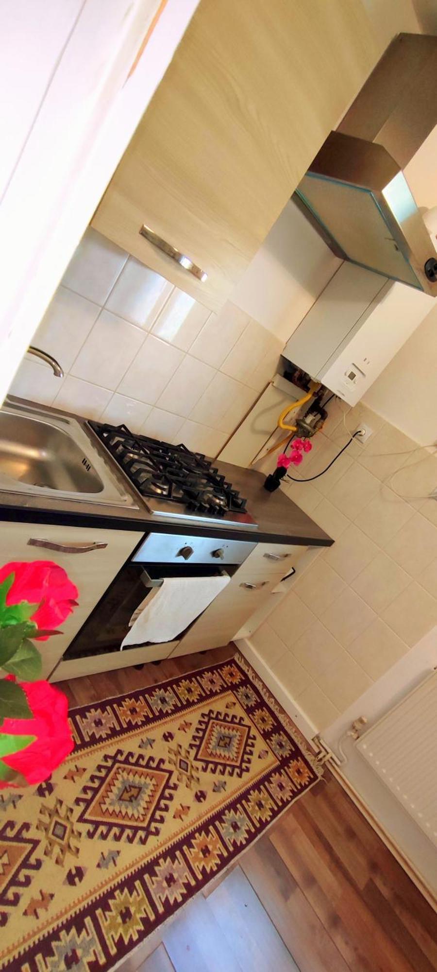 ブラショフ Casa De Susヴィラ エクステリア 写真