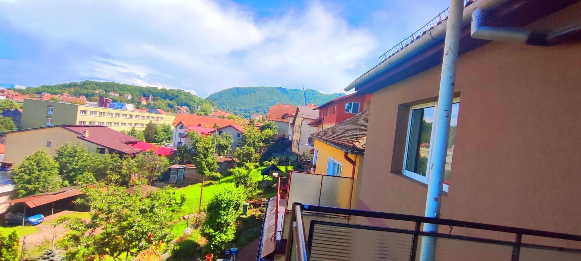ブラショフ Casa De Susヴィラ エクステリア 写真